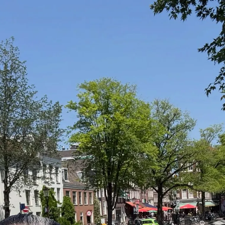 Rua arborizada numa manhã de viagem